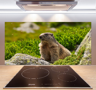 Keuken achterwand Tatra-marmot