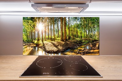Spatscherm keuken Panorama van het bos