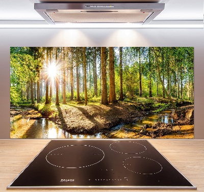 Spatscherm keuken Panorama van het bos
