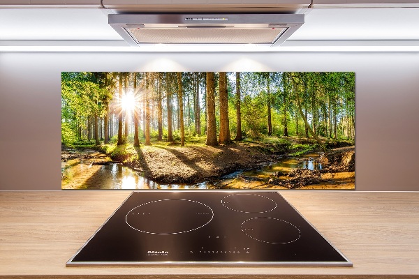 Spatscherm keuken Panorama van het bos