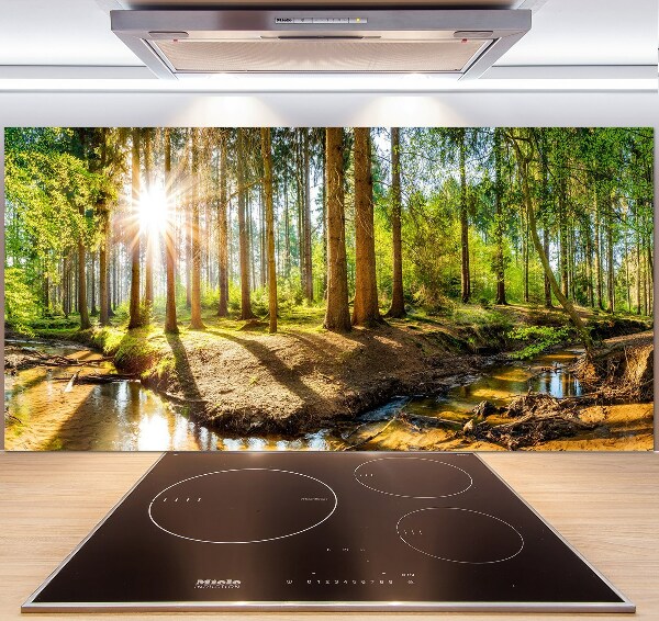 Spatscherm keuken Panorama van het bos