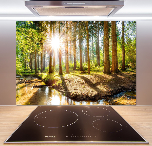 Spatscherm keuken Panorama van het bos