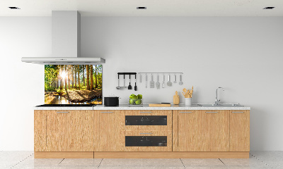 Spatscherm keuken Panorama van het bos