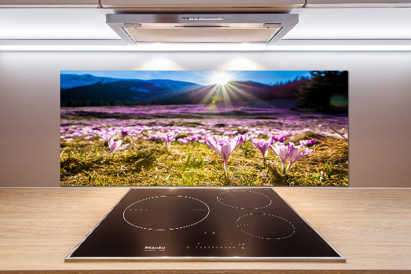 Spatplaat keuken Krokussen in de open plek