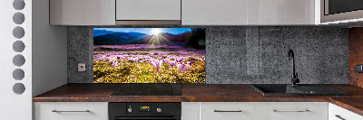 Spatplaat keuken Krokussen in de open plek