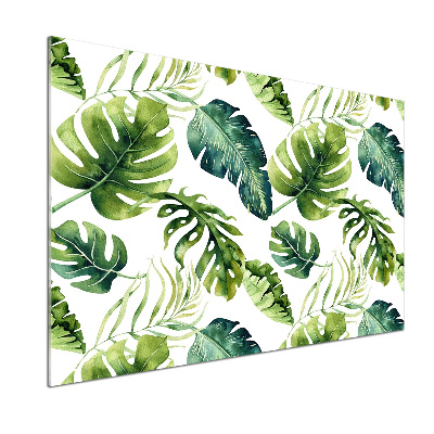 Spatplaat keuken Tropische bladeren