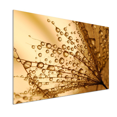 Spatplaat keuken Paardenbloemzaden