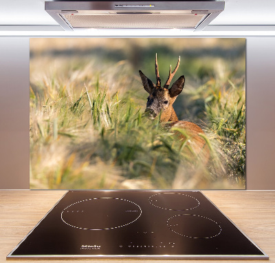 Glazen achterwand keuken Herten in het veld