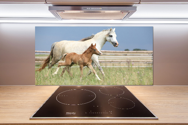 Achterwand keuken Merrie met veulen