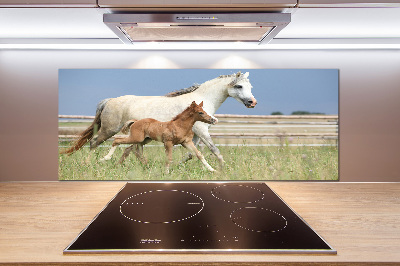 Achterwand keuken Merrie met veulen