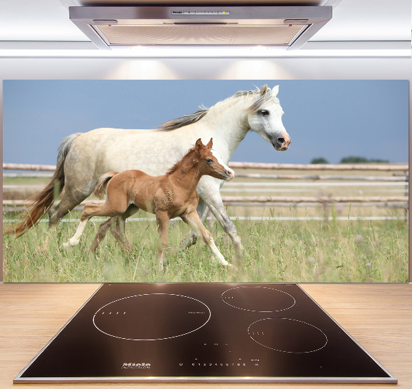 Achterwand keuken Merrie met veulen