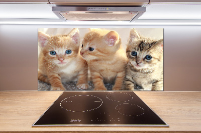 Spatscherm keuken Kleine katjes