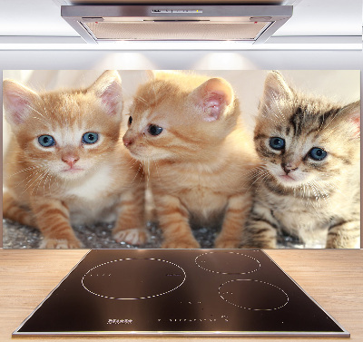 Spatscherm keuken Kleine katjes