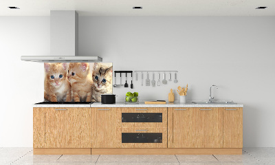 Spatscherm keuken Kleine katjes