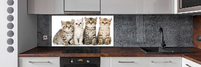 Spatplaat keuken Kleine katjes