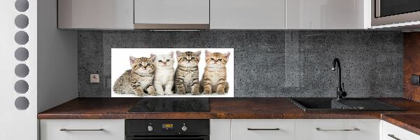 Spatplaat keuken Kleine katjes