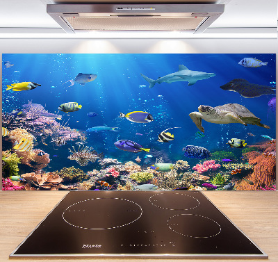 Keuken achterwand Koraalrif