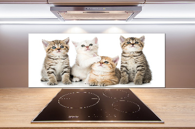 Glazen achterwand keuken Kleine katjes