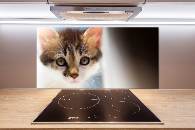 Achterwand keuken Kleine kat