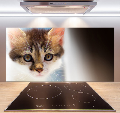 Achterwand keuken Kleine kat