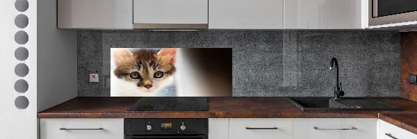Achterwand keuken Kleine kat