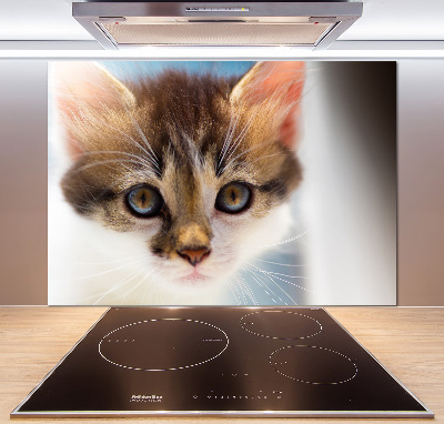 Achterwand keuken Kleine kat