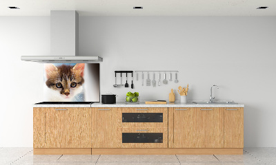 Achterwand keuken Kleine kat