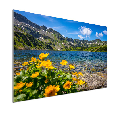 Glazen achterwand keuken Meer in de bergen