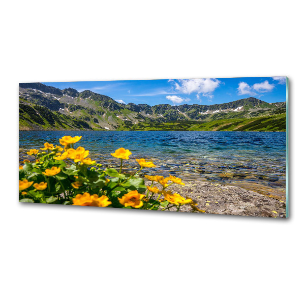 Glazen achterwand keuken Meer in de bergen