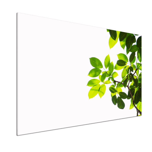 Spatplaat keuken Bladeren