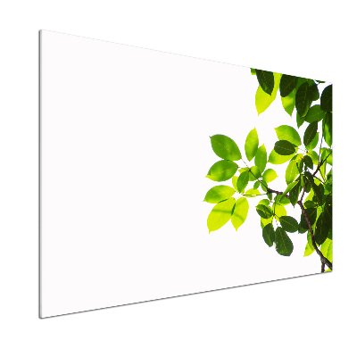 Spatplaat keuken Bladeren