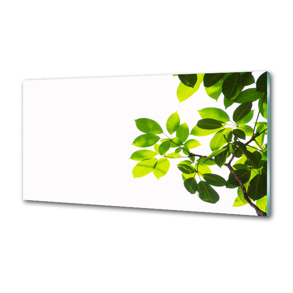 Spatplaat keuken Bladeren