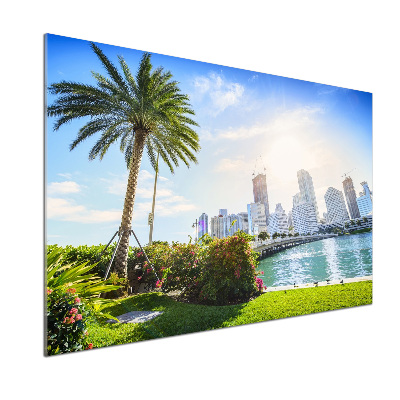 Achterwand keuken Miami, VS