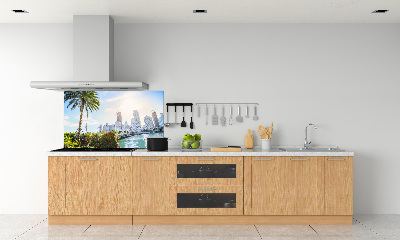 Achterwand keuken Miami, VS