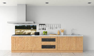 Spatscherm keuken Grazende schapen