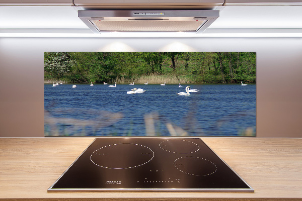 Spatplaat keuken Witte zwanen