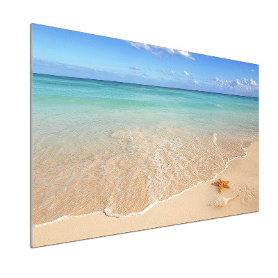 Spatplaat keuken Zeesterren op het strand