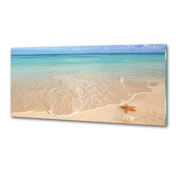 Spatplaat keuken Zeesterren op het strand