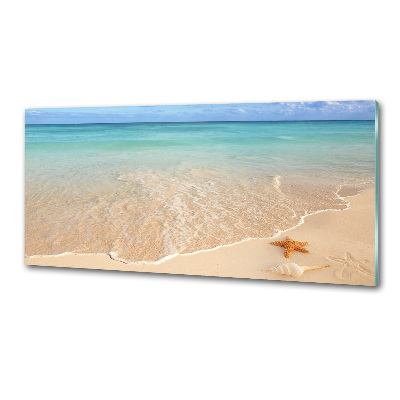 Spatplaat keuken Zeesterren op het strand