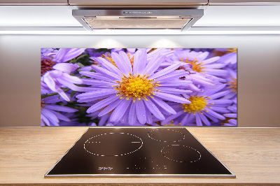 Achterwand keuken Asters
