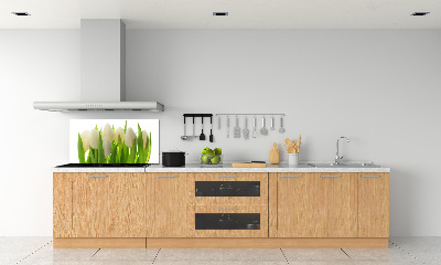 Spatscherm keuken Tulpen