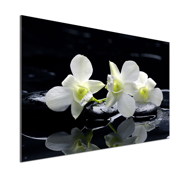 Keuken achterwand Orchidee