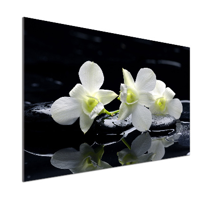 Keuken achterwand Orchidee