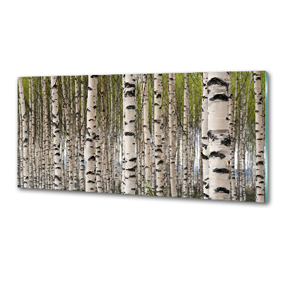 Spatscherm keuken Berkenbos