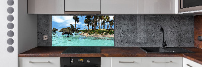 Spatplaat keuken Dinosaurussen