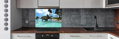 Spatplaat keuken Dinosaurussen