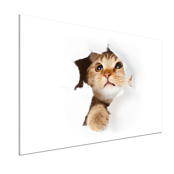 Keuken achterwand Kat in een gat