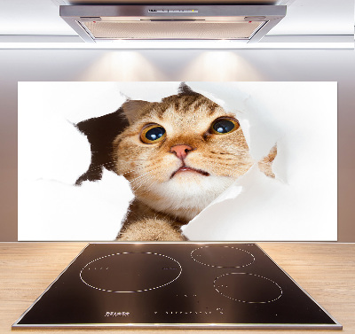 Keuken achterwand Kat in een gat