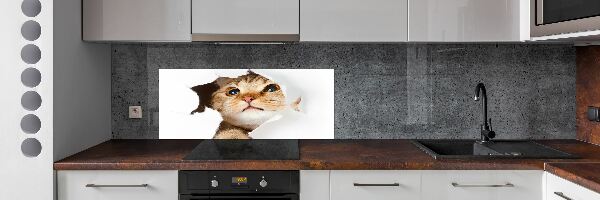 Keuken achterwand Kat in een gat