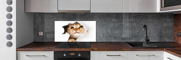 Keuken achterwand Kat in een gat